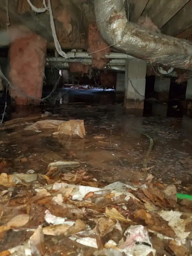 Crawl space flood assessment for Leak Detection & Repair in Muskegon Heights